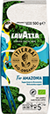 ¡Tierra! For Amazonia Beans