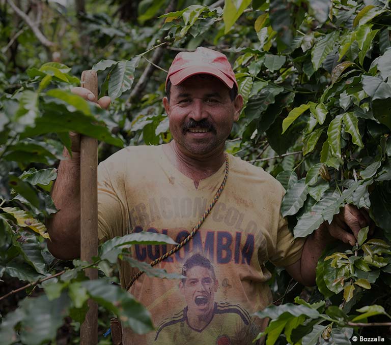 Colombian coffee tradition