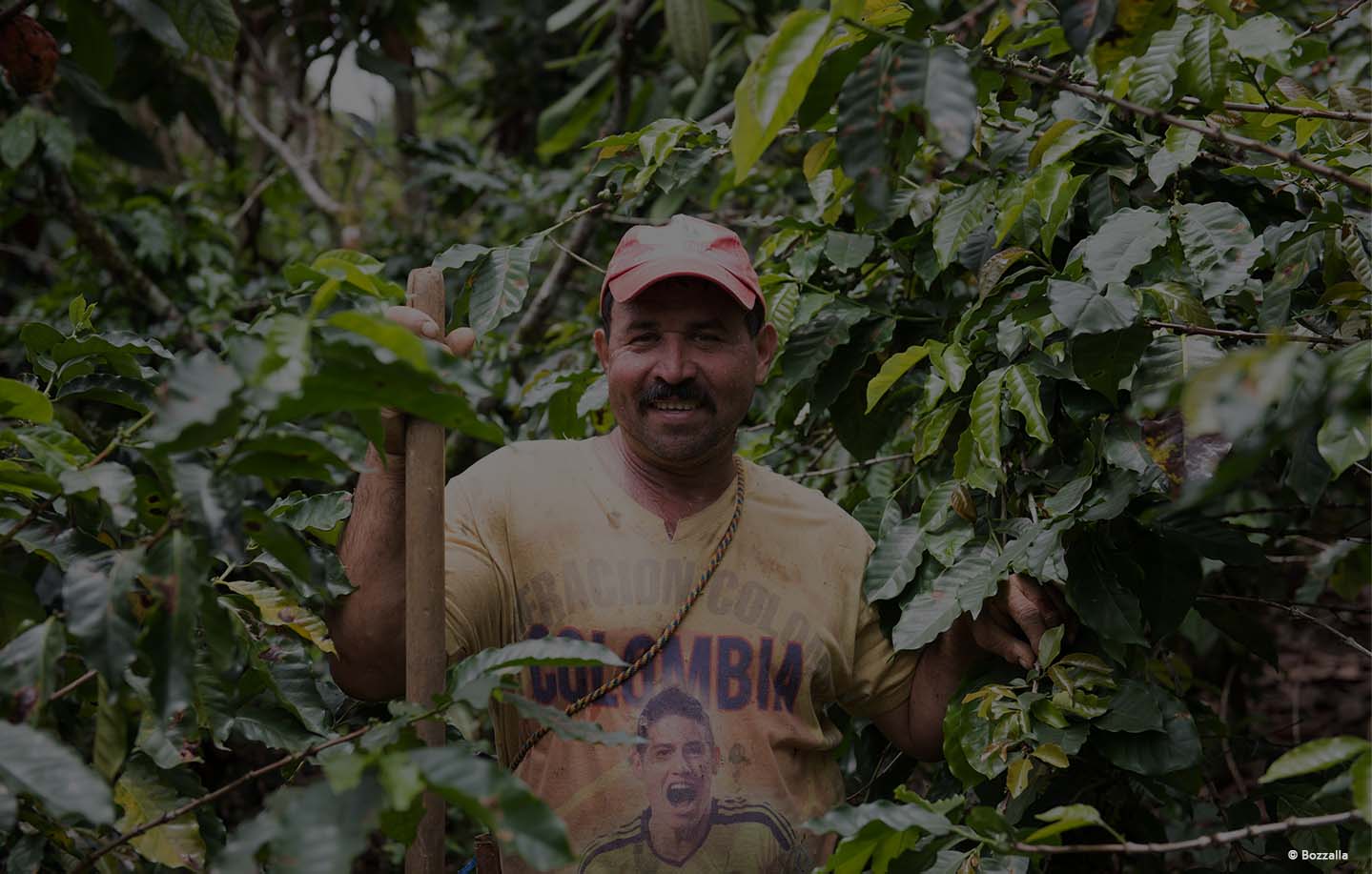 Coffee tradition and technology for Colombia