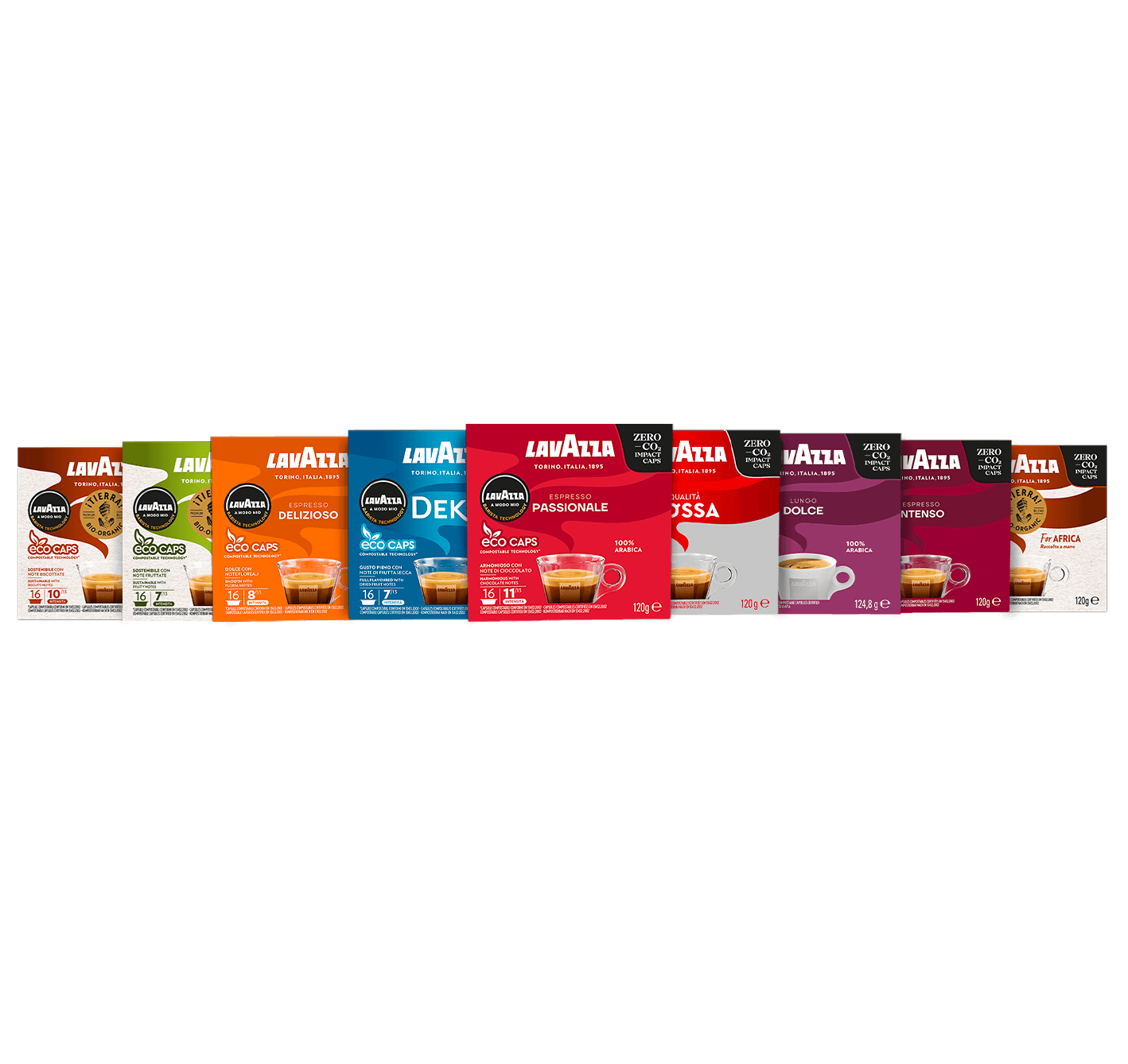 AMM discover bundle