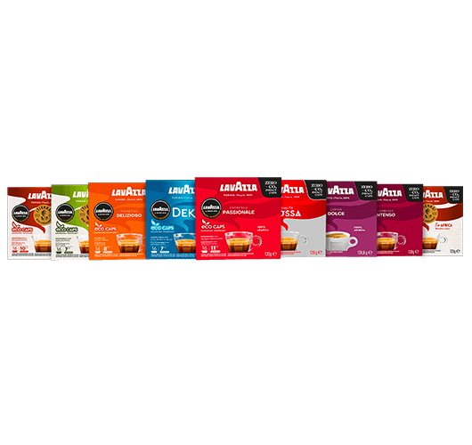 AMM discover bundle
