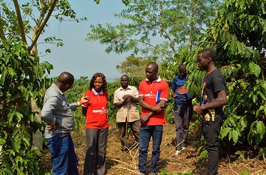 Uganda local farmers