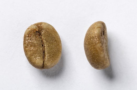 Types of coffee beans You NEVER knew about - Liberica, Robusta